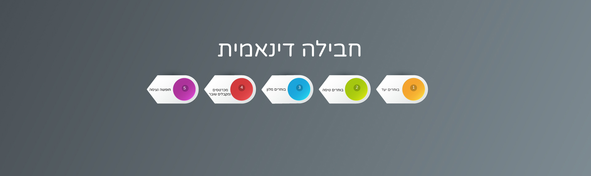 חבילה דינאמית